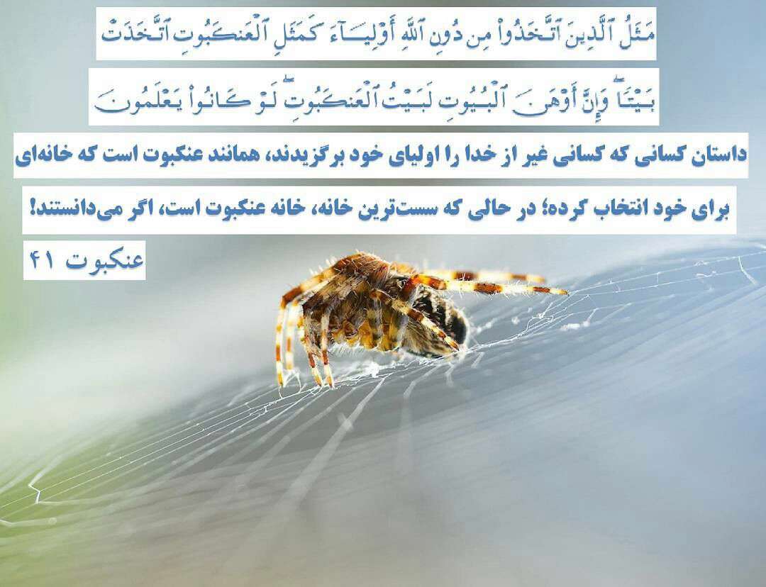 سوره عنکبوت آ یه 41